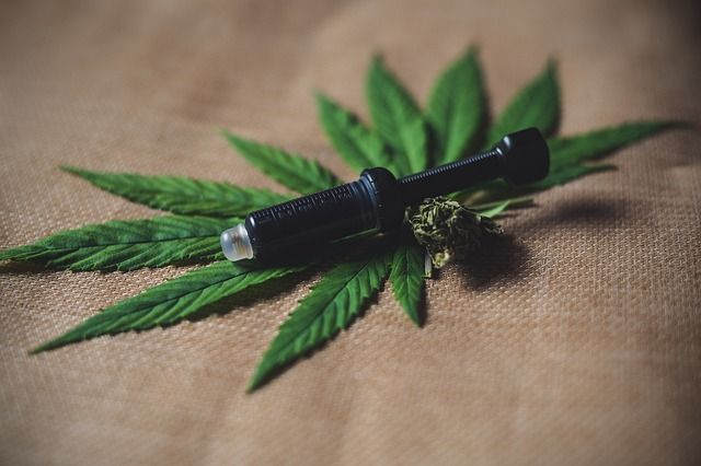 Zrozumieć CBD: Jak psychoaktywne związki konopi wpływają na nasz organizm?
